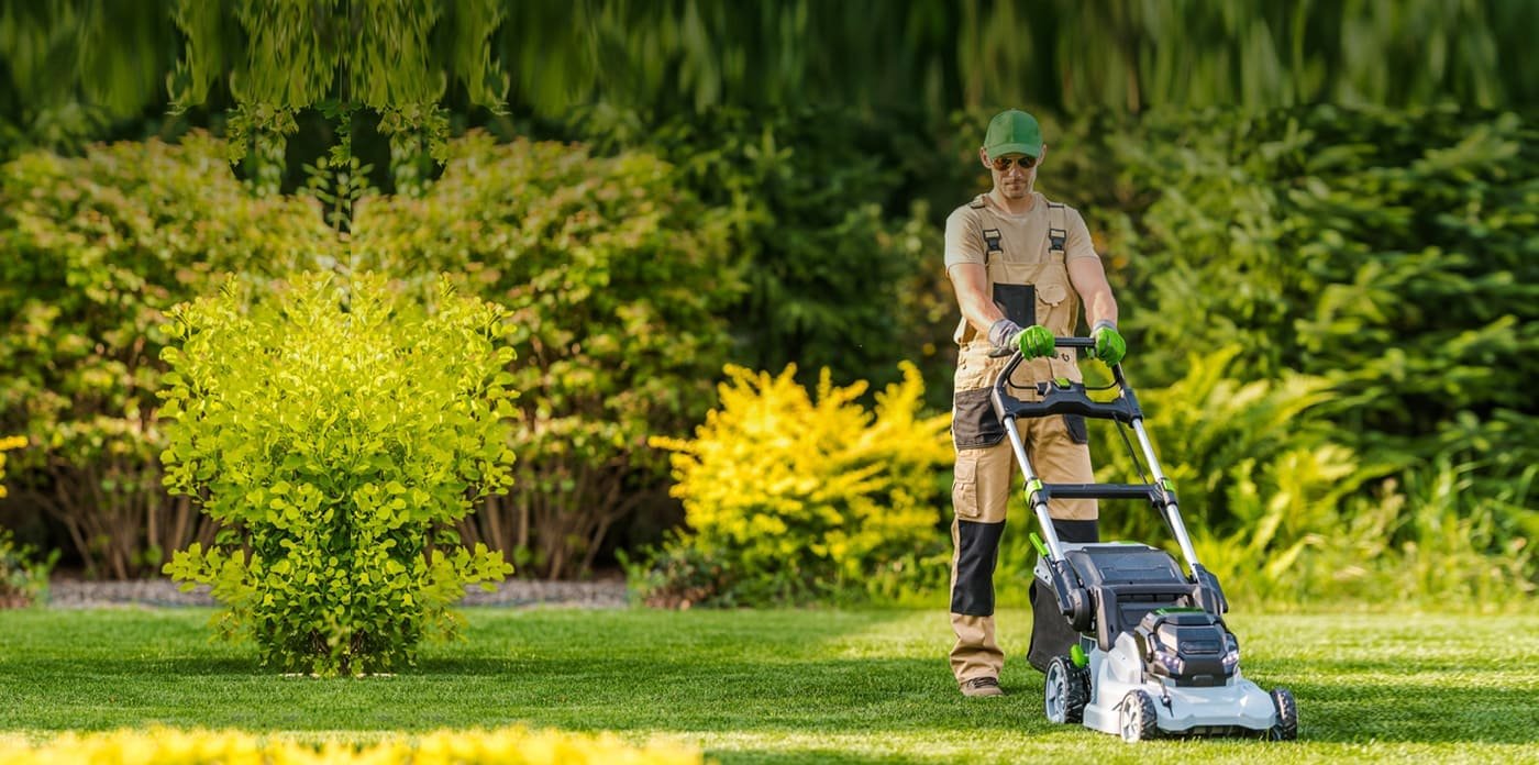 We are helping you to improve your Garden appearance