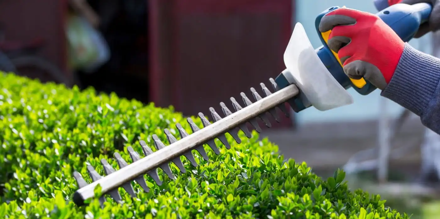 We are helping you to improve your Garden appearance