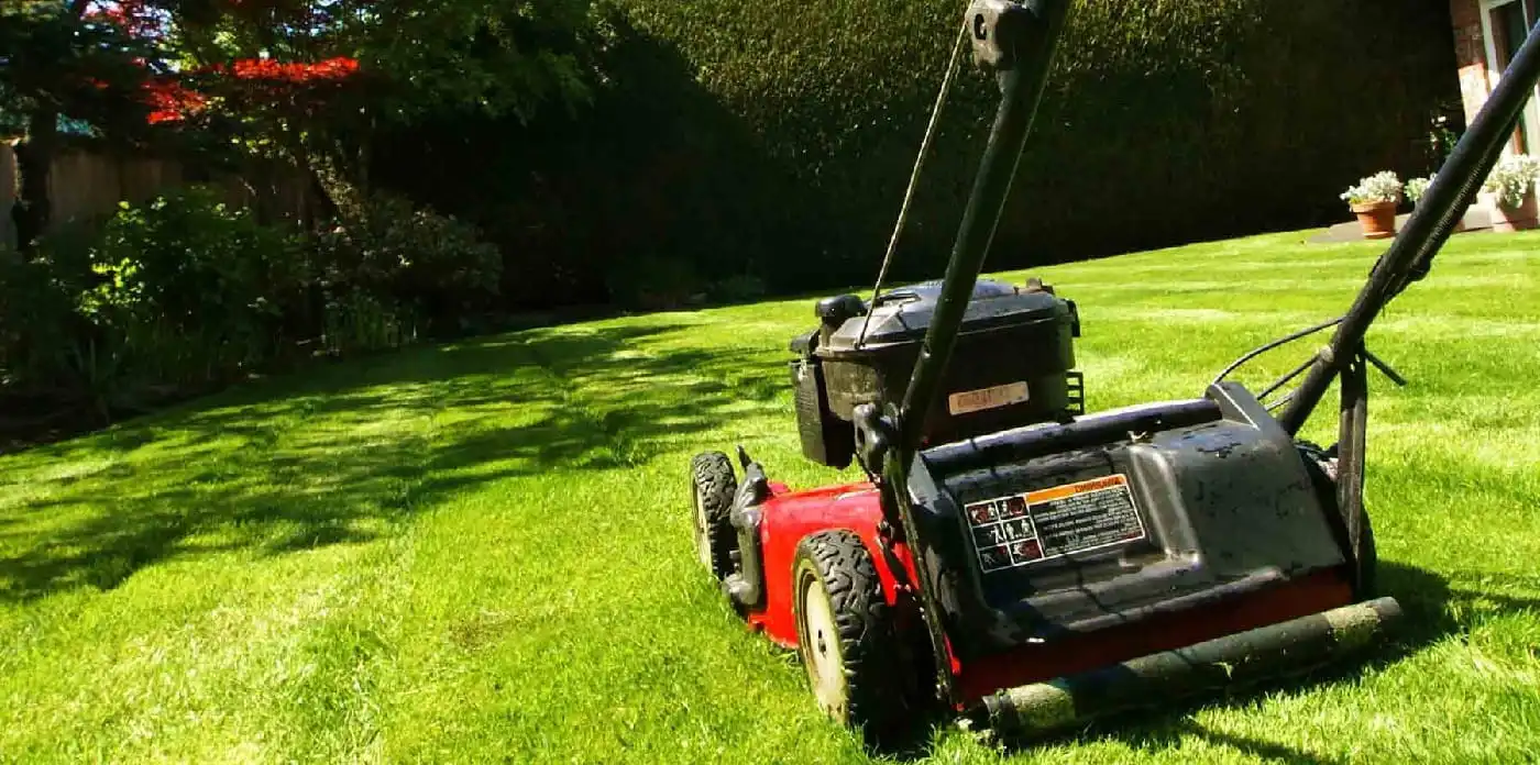 We are helping you to improve your Garden appearance