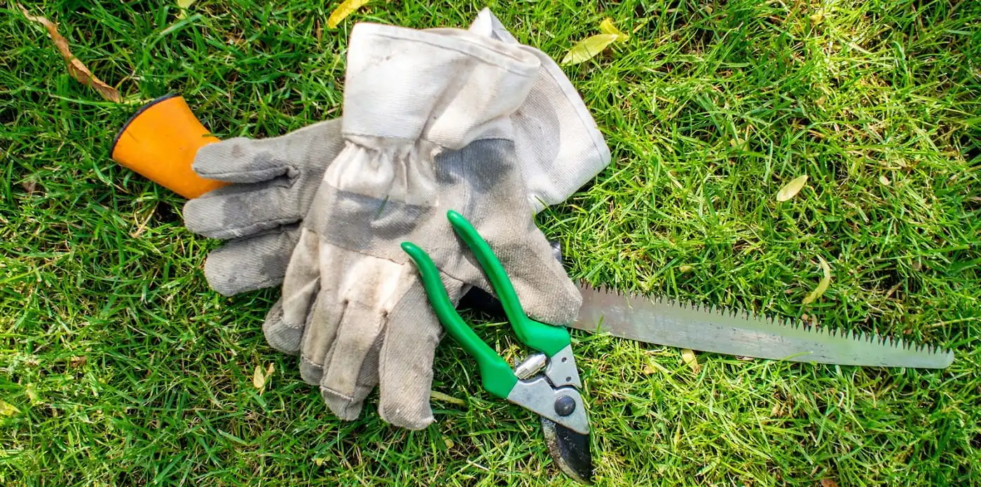 We are helping you to improve your Garden appearance